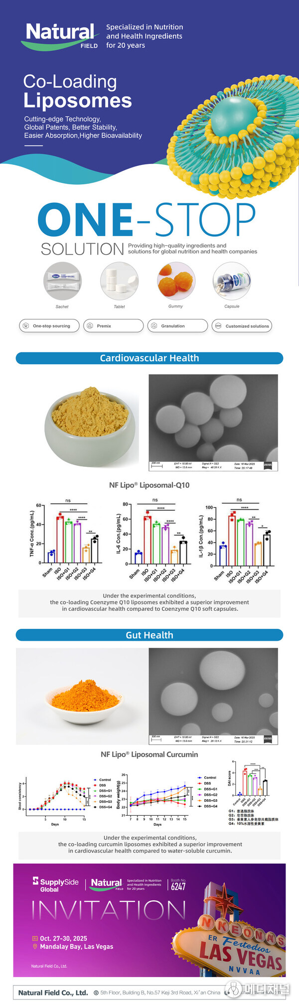 Co-loaded Liposomes Show Enhanced Cardiovascular Support — Both CoQ10 and Curcumin liposomes demonstrated superior improvement compared to their conventional forms under experimental conditions.