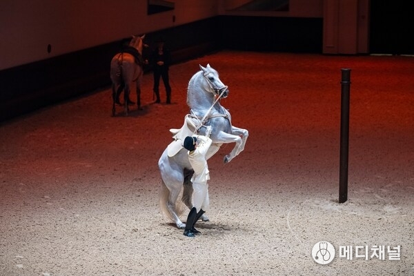 Royal Gala of Abu Dhabi Royal Equestrian Arts