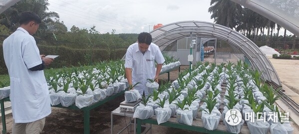 GAR screened over 40,000 seedlings to identify the best-performing candidates under drought conditions.