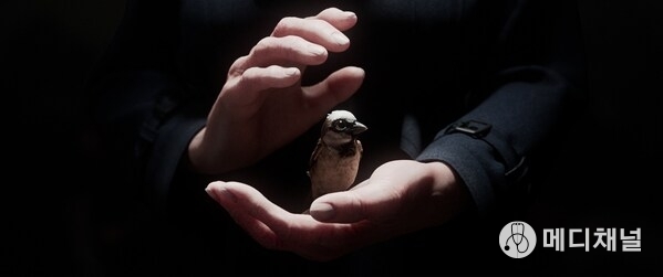 Best Student Project — “A Sparrow’s Song” (Germany)