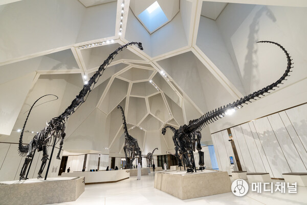 His Highness Sheikh Khaled bin Mohamed bin Zayed Al Nahyan inaugurates Natural History Museum Abu Dhabi in Saadiyat Cultural District