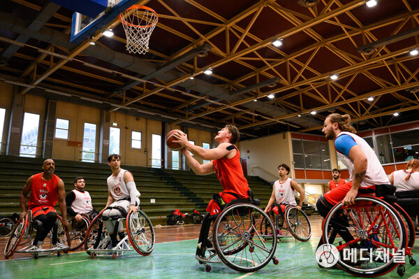 The Volpi Rosse Menarini