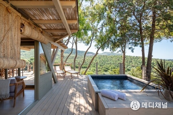 one of the "nest", in the Tuscan bush