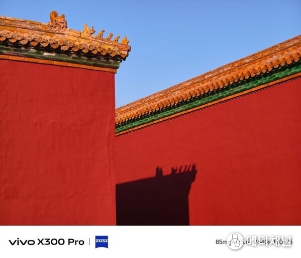 Award-winning work by Laura Olivo, Second Secretary of the Embassy of the Dominican Republic in China